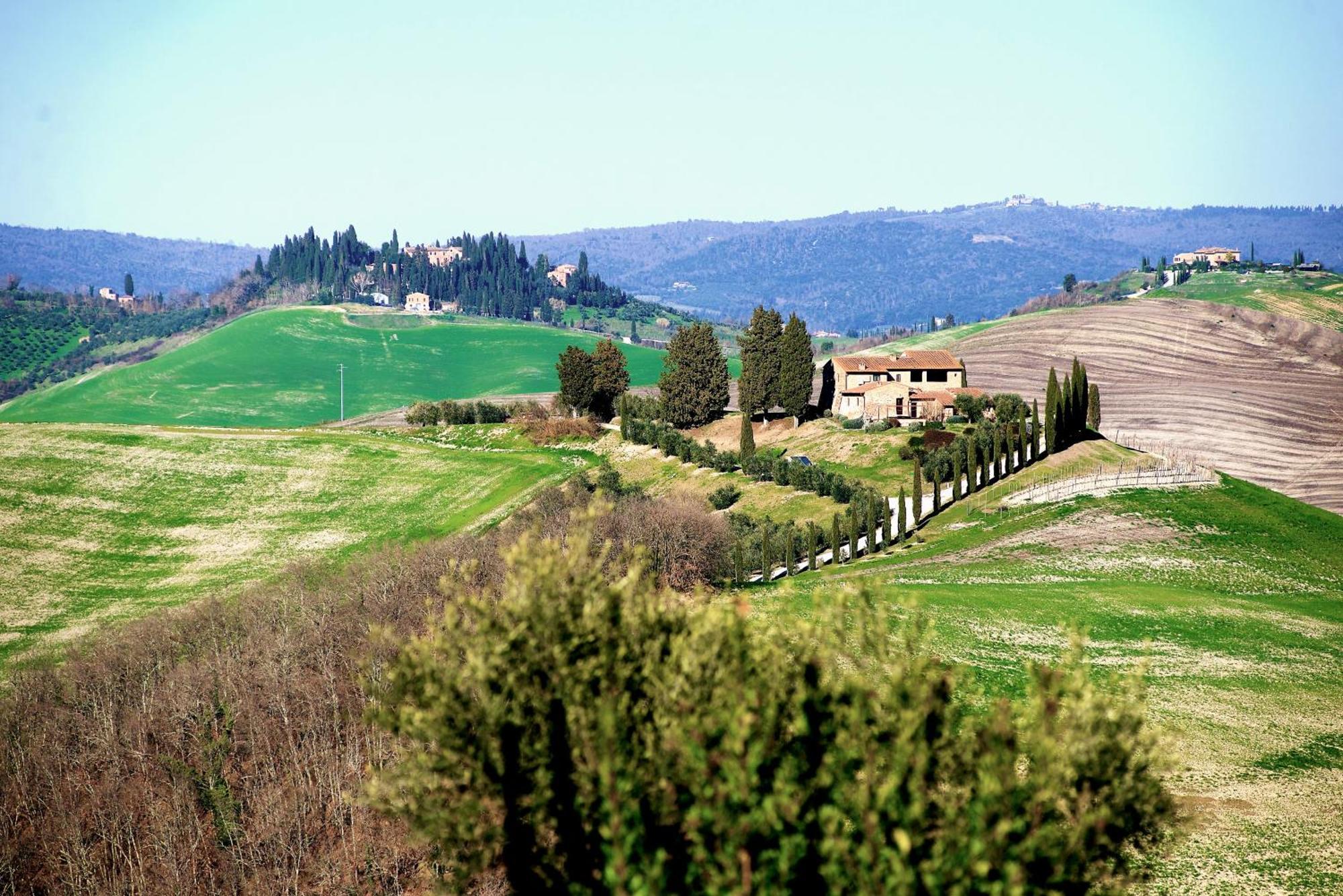 Agriturismo Caliano Asciano Exterior foto